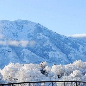 Meet your Posher, Oiud